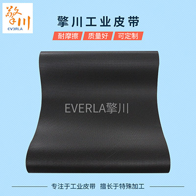 長(zhǎng)距離輸送機(jī)選用防爆電動(dòng)滾筒的優(yōu)勢(shì)
